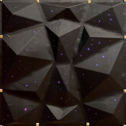 Premium Perforated Leather Starlight Panel