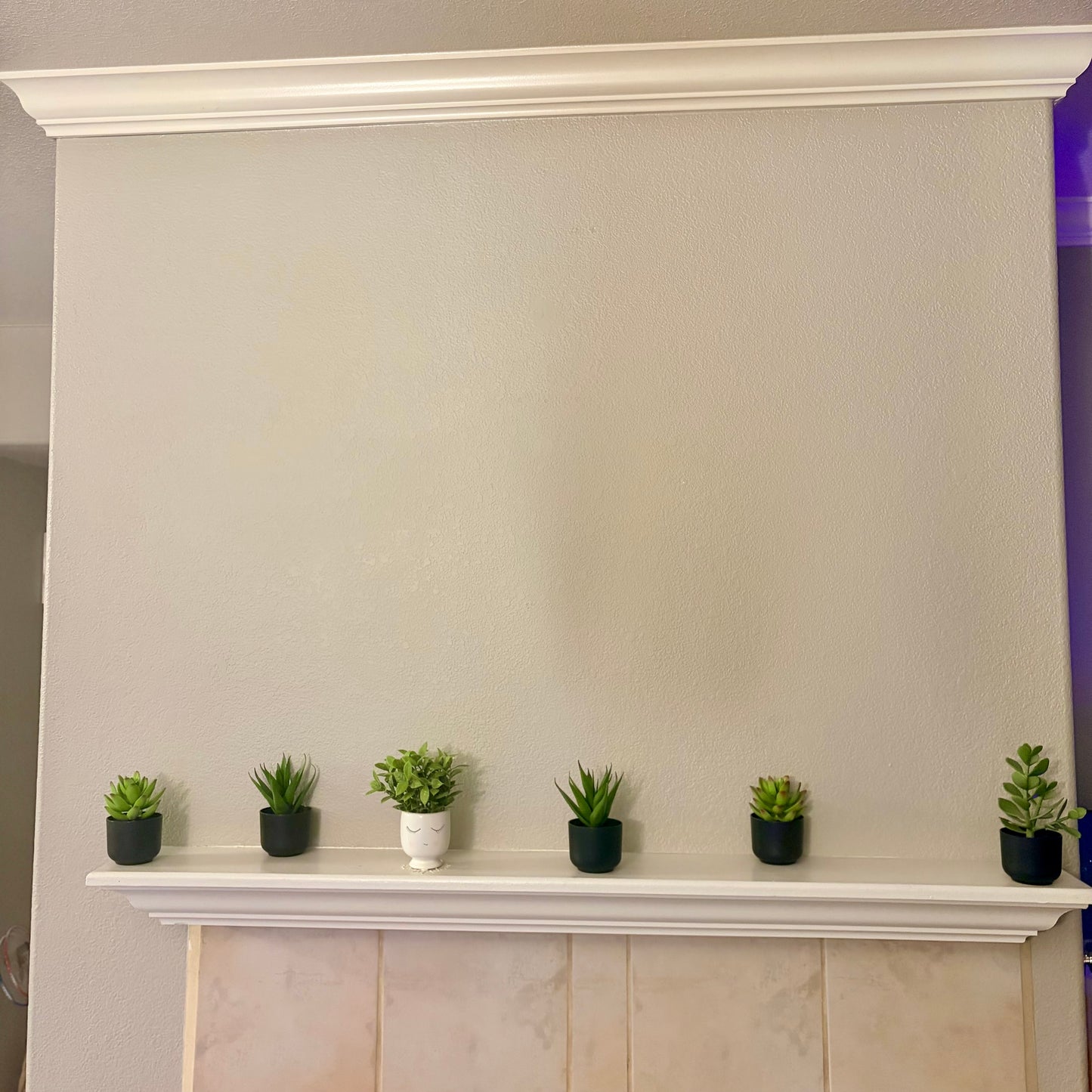 Hard Plastic Starlight Panel